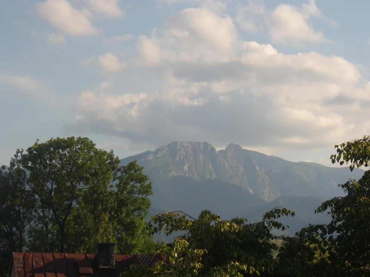 Willa U Kasi Zakopane Exteriör bild